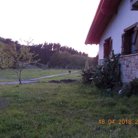 Casa Rural Miamendi Larrabetzu Kültér fotó