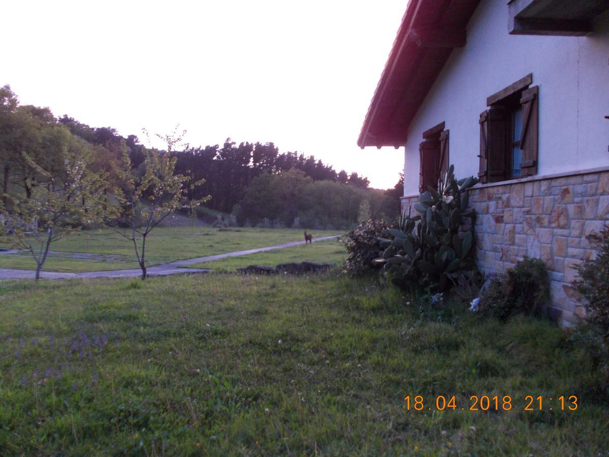 Casa Rural Miamendi Larrabetzu Kültér fotó