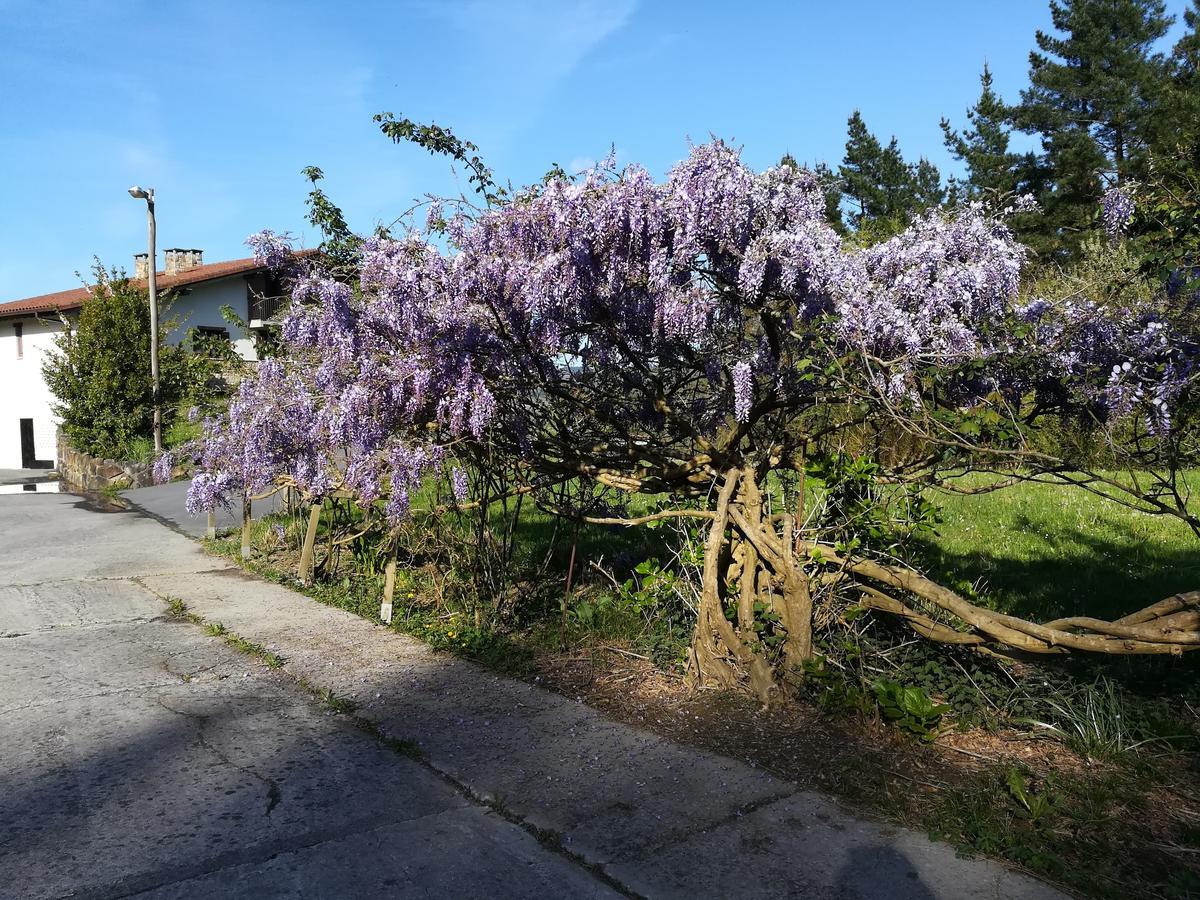 Casa Rural Miamendi Larrabetzu Kültér fotó